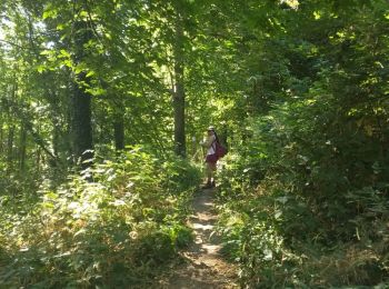 Trail Walking Holsbeek - Holsbeek 20km - Photo