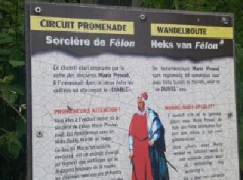 Randonnée Marche Havelange - FAILON (Château-Ferme de Somal) - Photo