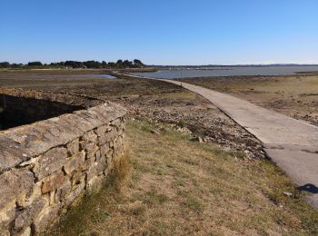 Tocht Stappen Saint-Armel - Île Tascon. Golf du Morbihan. 16-07-18. - Photo