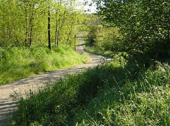 Trail Running Launaguet - Course à pied gps à Launaguet - Chemin du Poutou - Photo