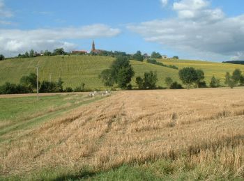 Tour Wandern Mondouzil - Mon doux Mondouzil - Photo