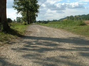 Excursión Carrera Mondouzil - Quatre clochers au semi... - Photo