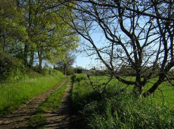 Tocht Lopen Launaguet - A Maniou sans nounou ! - Photo