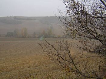 Tocht Stappen Loubens-Lauragais - Loubens à pinces... - Photo