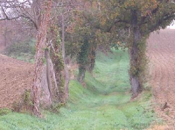 Percorso Corsa a piedi Loubens-Lauragais - Loubens à pinces... - Photo