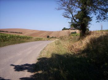 Excursión Carrera Mérenvielle - De Mérenvielle à la forêt de Bouconne - Photo