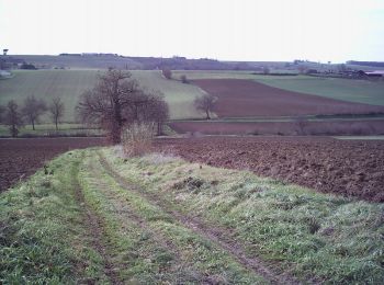 Tocht Lopen Paulhac - Pas de Bic-mac à Paulhac ! - Photo