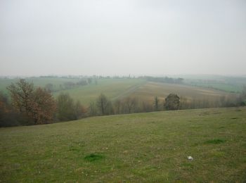 Trail Running Toutens - De Toutens à Cessales - Photo