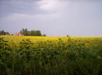 Tocht Lopen Grenade - Grenade Merville - Photo