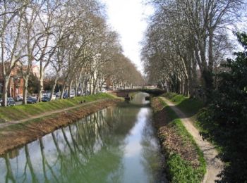 Randonnée V.T.T. Toulouse - Des coteaux au Canal du Midi - Photo