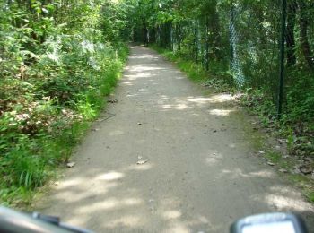 Randonnée Marche Aizenay - Aizenay - Circuit des Ecureuils - Photo