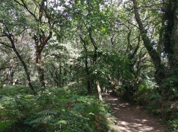 Trail Walking Locoal-Mendon - Tour de la presqu'île de Locoal.  - Photo
