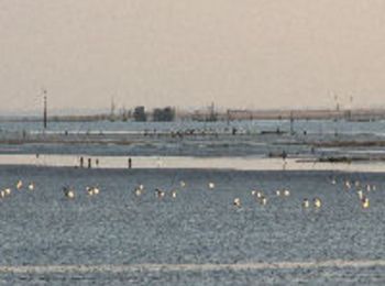 Randonnée V.T.T. Maillezais - De Maillezais à l'Aiguillon Sur Mer - Photo