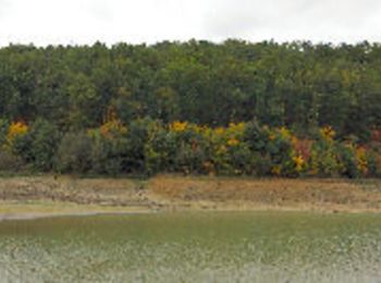 Tour Wandern Verfeil - De Verfeil à la Balerme - Photo