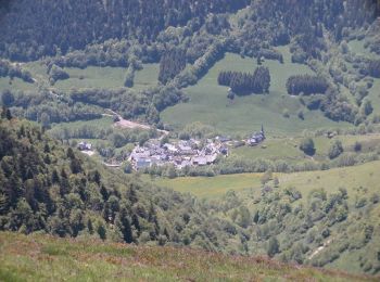 Percorso Mountainbike Bagnères-de-Luchon - Luchonnais Vallée d'Oueil - Photo