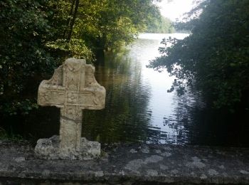 Tour Wandern Habich - HABAY-la-NEUVE (Forêt d'Anlier) - Photo