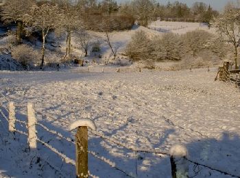 Randonnée V.T.T. Escoussens - Dernière Neige à Escoussens - Photo