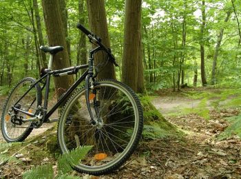 Excursión Bici de montaña Saint-Germain-en-Laye - Randonnée en Forêt de Marly Le Roi - Photo