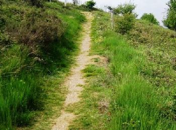 Excursión Bici de montaña Ambialet - Albi Ambialet - Photo