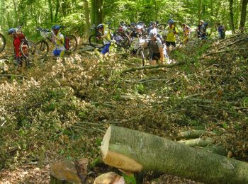 Percorso Mountainbike Dieppe - Bonauxilienne 2005 - Photo