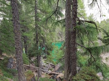 Trail Walking Névache - le Mont Thabor - Photo
