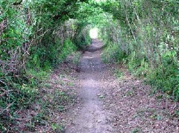 Tour Mountainbike Le Poiré-sur-Vie - Le Poiré Sur Vie - Sentier des Moulins - Photo