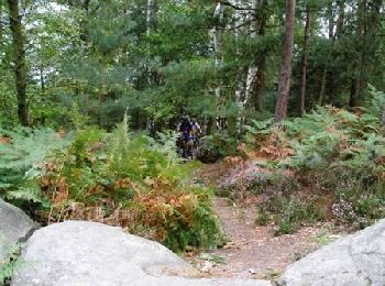Trail Mountain bike Rambouillet - Les Randobolitaines 2006 - Photo