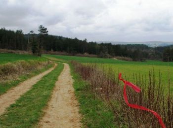 Trail Mountain bike Saint-Père - XVIIème Ronde de Vézelay - Photo