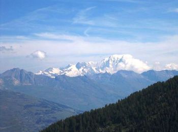 Trail Mountain bike La Plagne-Tarentaise - Le Dou du Praz - Photo