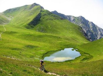 Trail Mountain bike La Plagne-Tarentaise - le Mont de la Guerre, le col du Jovet - Photo