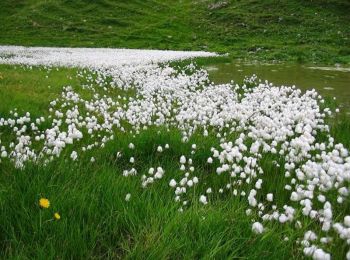 Excursión Bici de montaña La Plagne-Tarentaise - La Lovatière - Photo