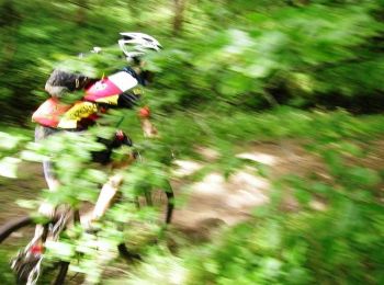 Trail Mountain bike Dourdan - Le Raid des Roys 2006 - Photo