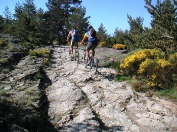 Excursión Bici de montaña La Bastide-Puylaurent - La Bastide Puylaurent - La Fage - Photo