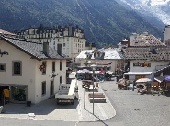 Tocht Sneeuwschoenen Chamonix-Mont-Blanc - Test Chamonix Cap Nord 27 juillet  - Photo