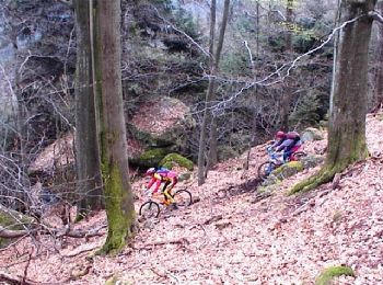 Tocht Mountainbike Dossenheim-Kochersberg - Randonnée Dossenheim - K. 04 - Photo