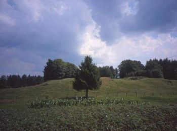 Randonnée V.T.T. Orbey - Le Tour des Immerlins - Photo