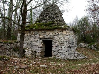 Tour Wandern Loupiac - Loupiac  - Photo