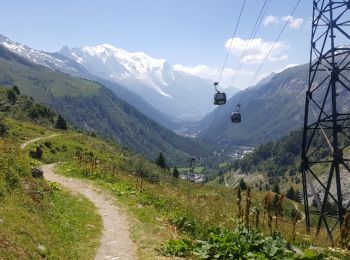 Tour Schneeschuhwandern Chamonix-Mont-Blanc - Test Aiguille des Posettes Cap Nord  - Photo