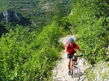 Excursión Bici de montaña Cubières - GTMC de Claire - 7 - Photo