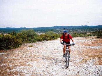 Trail Mountain bike Dourbies - GTMC de Claire - 10 - Photo