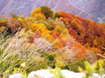 Tour Wandern Estaing - Les Viellettes - Estaing - Photo