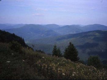 Tocht Mountainbike Fellering - Markstein - Lac du Ballon - Photo