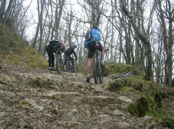 Trail Mountain bike Estillac - Moirax - Photo