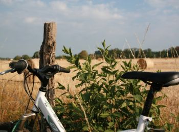 Trail Mountain bike Artannes-sur-Indre - Artannes sur Indre, Saché, Pont de Ruan - Photo