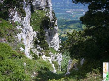Randonnée Marche Sainte-Marie-du-Mont - Passage du Fourneau et Pas de la Rousse - Photo