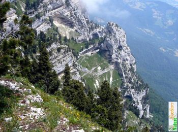 Randonnée Marche Plateau-des-Petites-Roches - Le Pas de Ragris, l'Aulp du Seuil - Photo