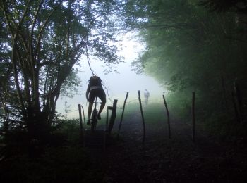 Excursión Bici de montaña Mandeure - Grandes Traversées du Jura - Le Pays de Montbéliard - Photo