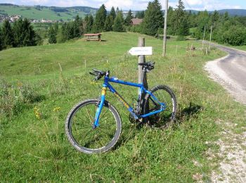 Trail Mountain bike Giron - Grandes Traversées du Jura - Haut Bugey - Photo