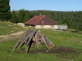 Randonnée V.T.T. Métabief - Grandes Traversées du Jura à VTT - Mont d'Or - Photo