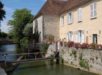 Tocht Stappen Nemours - Le Loing, canal et rochers Gréau à Nemours - Photo